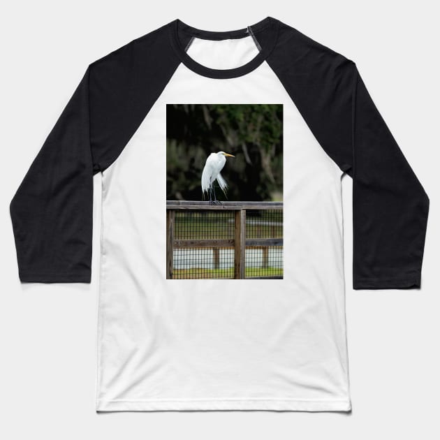Great Egret, Lake Kissimmee, Florida Baseball T-Shirt by irishmurr
